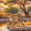 Cool Cheetah Art 5D Diamond Painting