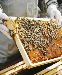 Honey Bee Hive 5D Diamond Painting