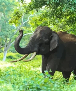 Indian Elephant 5D Diamond Painting