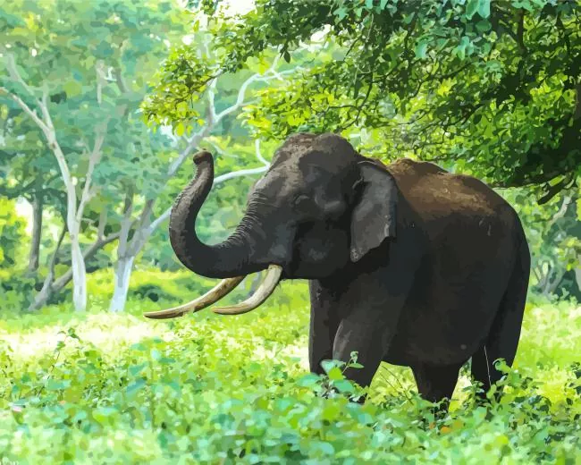 indian elephant Diamond Dotz Indian Elephant 5D Diamond Painting