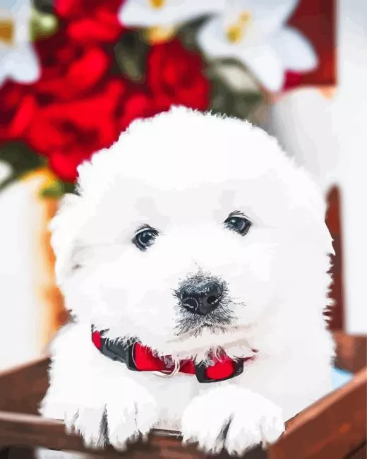 maremma sheepdog puppy Diamond By Numbers Maremma Sheepdog Puppy 5D Diamond Painting