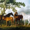 Mares And Foals In A River Landscape 5D Diamond Painting