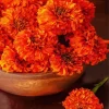 Marigold Flower 5D Diamond Painting