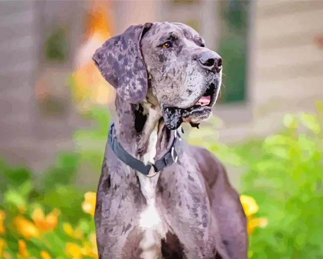 merle great dane Diamond Paintings Merle Great Dane 5D Diamond Painting