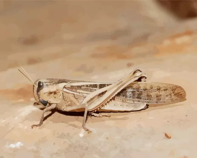 migratory locust Diamond Paintings Migratory Locust 5D Diamond Painting