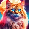 Moon And Cat 5D Diamond Painting