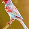 Mosaic Canary 5D Diamond Painting