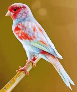 Mosaic Canary 5D Diamond Painting