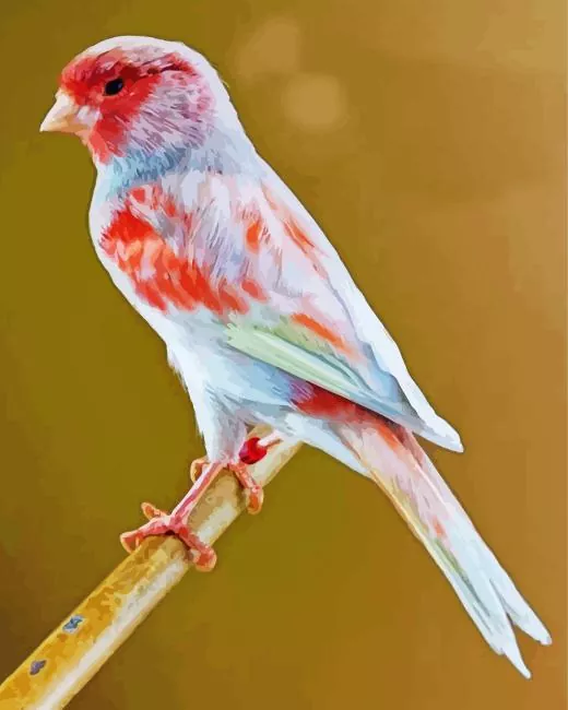 mosaic canary Diamond Paintings Mosaic Canary 5D Diamond Painting