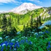 Mount Rainier 5D Diamond Painting