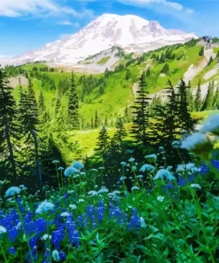 Mount Rainier 5D Diamond Painting