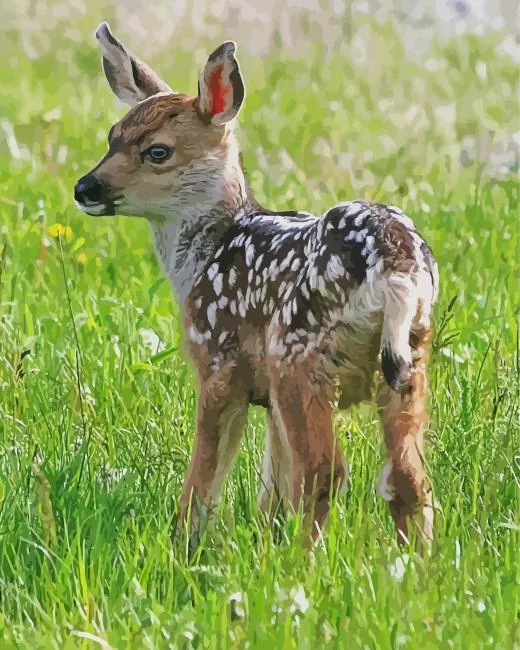 mule deer Diamond Paintings Mule Deer 5D Diamond Painting