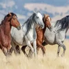 Mustang Horses 5D Diamond Painting