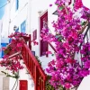Mykonos Flowers 5D Diamond Painting