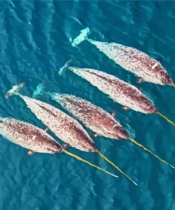 Narwhal Animal 5D Diamond Painting