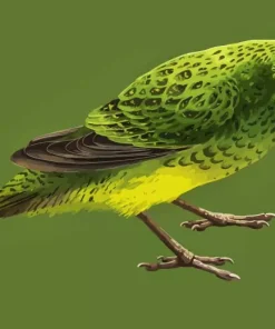 Night Parrot Bird 5D Diamond Painting