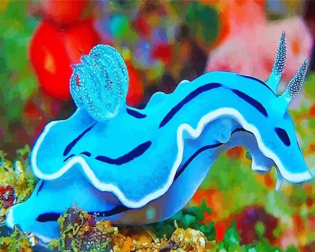 nudibranch animal Diamond By Numbers Nudibranch Animal 5D Diamond Painting