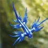 Nudibranch Blue 5D Diamond Painting