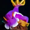 Nudibranch Purple 5D Diamond Painting