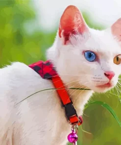 Old Eyed White Cat 5D Diamond Painting