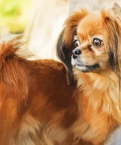 Orange Papillon Dog 5D Diamond Painting