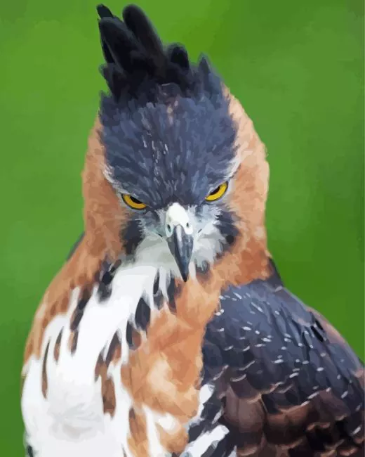 ornate hawk eagle Diamond Paintings Ornate Hawk Eagle 5D Diamond Painting