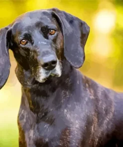 Plott Hound Dog 5D Diamond Painting