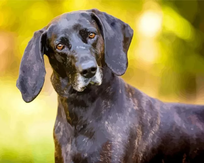 plott hound dog Diamond By Numbers Plott Hound Dog 5D Diamond Painting