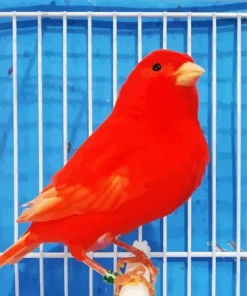 Red Factor Canary 5D Diamond Painting