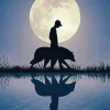 Sad Wolf And Man Silhouette 5D Diamond Painting