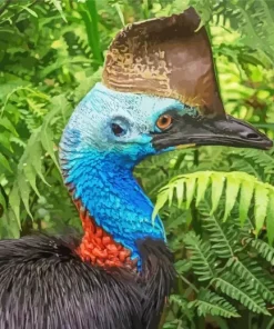 Southern Cassowary Bird 5D Diamond Painting