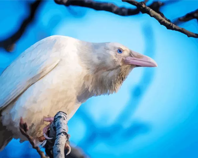 white raven bird Diamond by Numbers White Raven Bird 5D Diamond Painting
