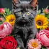 Baby Black Cat 5D Diamond Painting