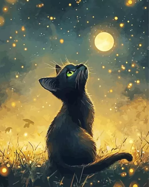 Black cat looking the to sky Diamond With Numbers Black Cat Looking The To Sky 5D Diamond Painting