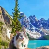 Cat In Banff Park 5D Diamond Painting