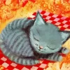 Cat Taking Nap 5D Diamond Painting