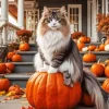 Fluffy Cat On Pumpkin 5D Diamond Painting