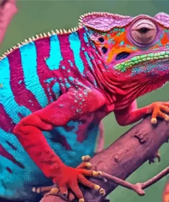 Panther Chameleon 5D Diamond Painting