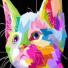 Pop Art Cat Face 5D Diamond Painting