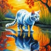 White Cat Reflection 5D Diamond Painting