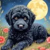 Black Cavoodle Puppy 5D Diamond Painting