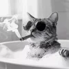 Cat Smoking In Bathroom 5D Diamond Painting