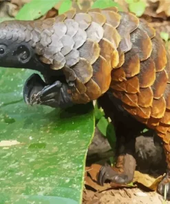 Pangolin Animal 5D Diamond Painting