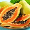 Papaya Fruit 5D Diamond Painting