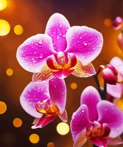 Pink Orchid 5D Diamond Painting