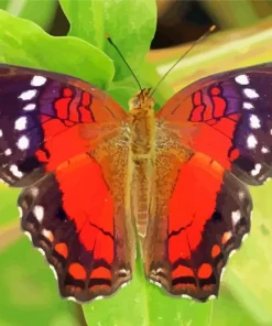 Scarlet Butterfly Art 5D Diamond Painting