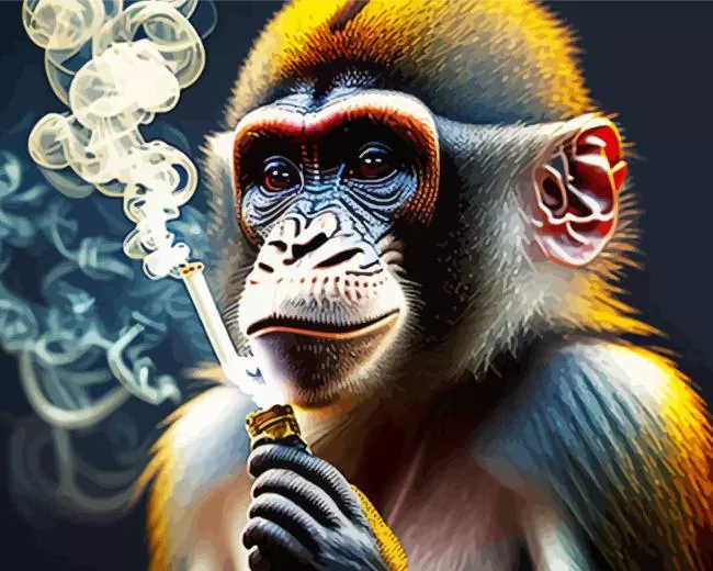 aesthetic smoke monkey art Diamond With Numbers Aesthetic Smoke Monkey Art 5D Diamond Painting