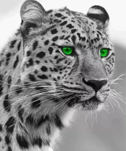 Cheetah Green Eyes 5D Diamond Painting