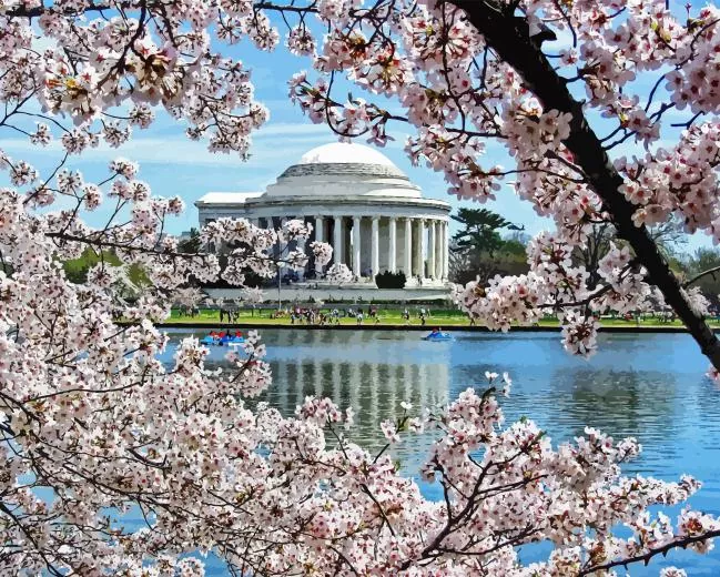 cherry blossom jefferson memorial Diamond Dotz Cherry Blossom Jefferson Memorial 5D Diamond Painting