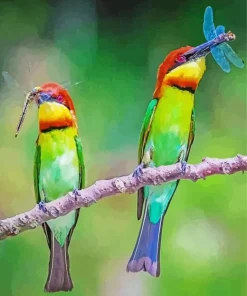 Chestnut Headed Bee Eater Birds 5D Diamond Painting